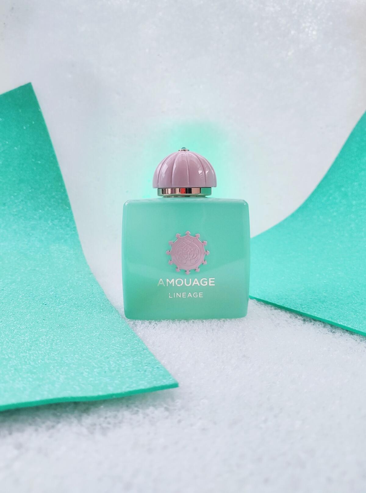 น้ำหอม Amouage Guidance 46 Lin - Perfume Fragrance Deluxe บทวิจารณ์และราคา